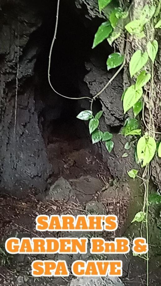 Bed and Breakfast Sarah'S Garden Bnb & Spa Clarin  Exterior foto